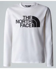 T-shirt thenorthface