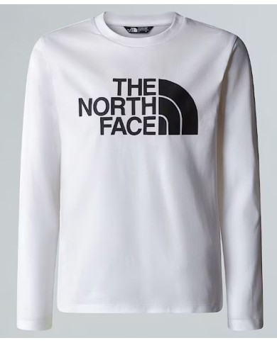 T-shirt thenorthface