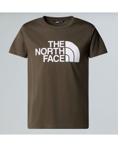 T-shirt thenorthface