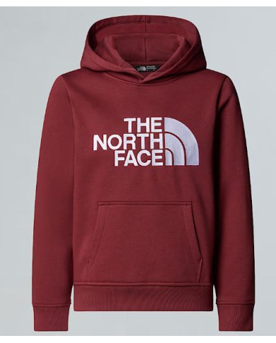 Felpa thenorthface