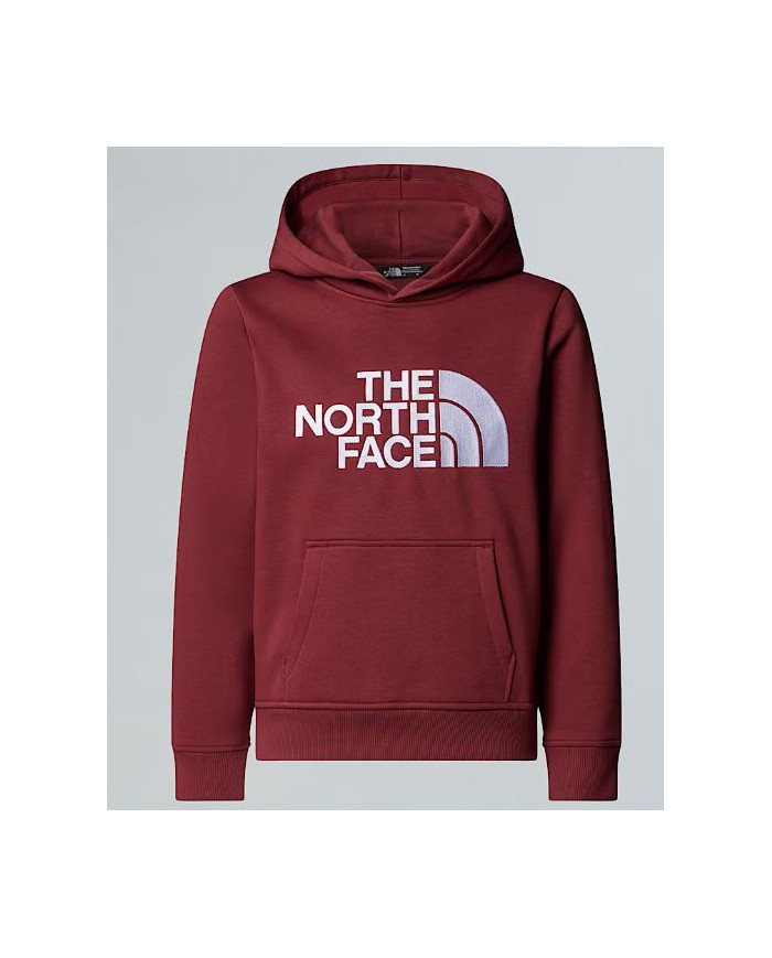 Felpa thenorthface