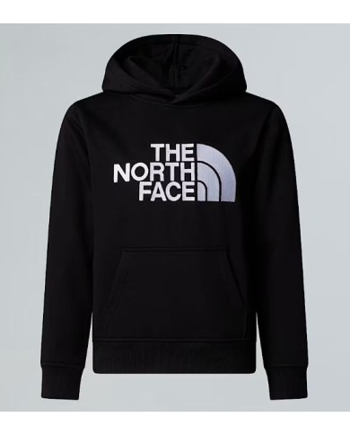 Felpa thenorthface