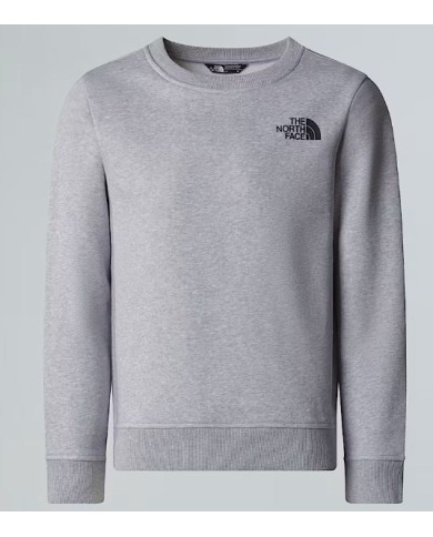 Felpa thenorthface