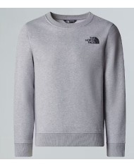 Felpa thenorthface