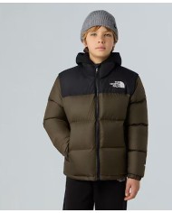 Giacca thenorthface