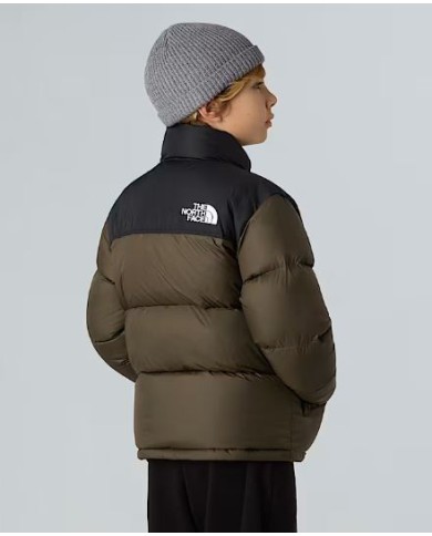 Giacca thenorthface